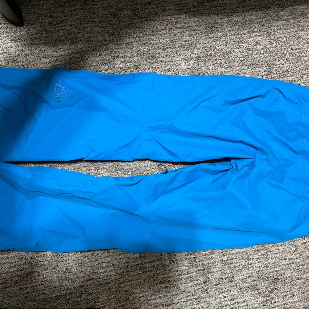 The North Face  freedom ski pants